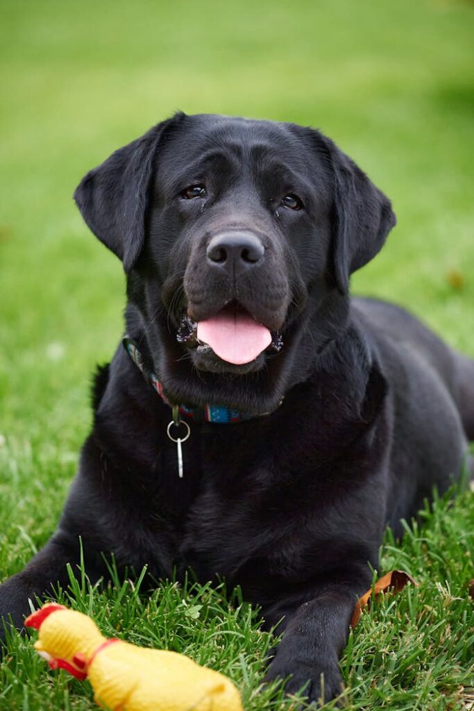 pexels photo 32880707.jpeg